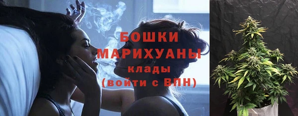 гидра Гусиноозёрск
