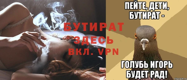 гидра Гусиноозёрск