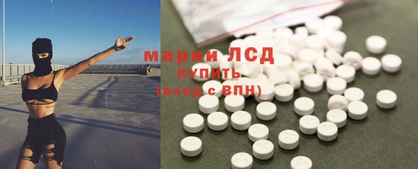 гидра Гусиноозёрск