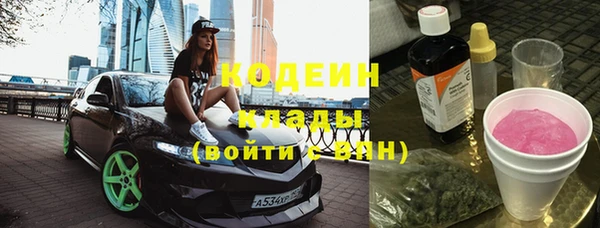 гидра Гусиноозёрск