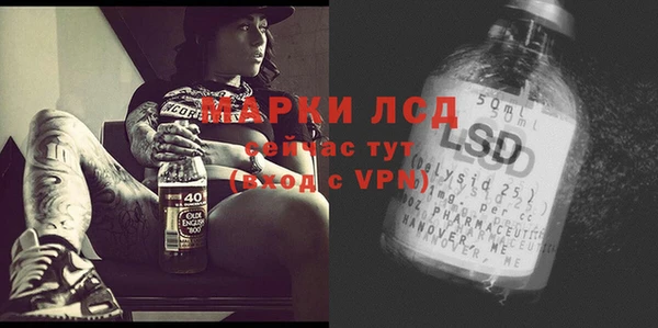 гидра Гусиноозёрск