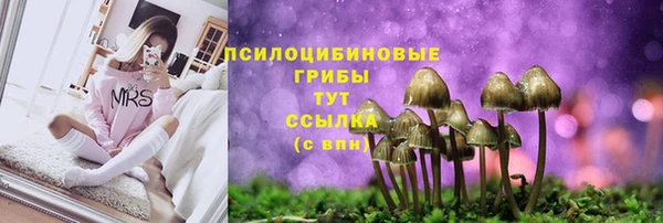 гидра Гусиноозёрск