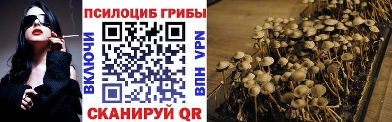 Псилоцибиновые грибы Cubensis Балашиха